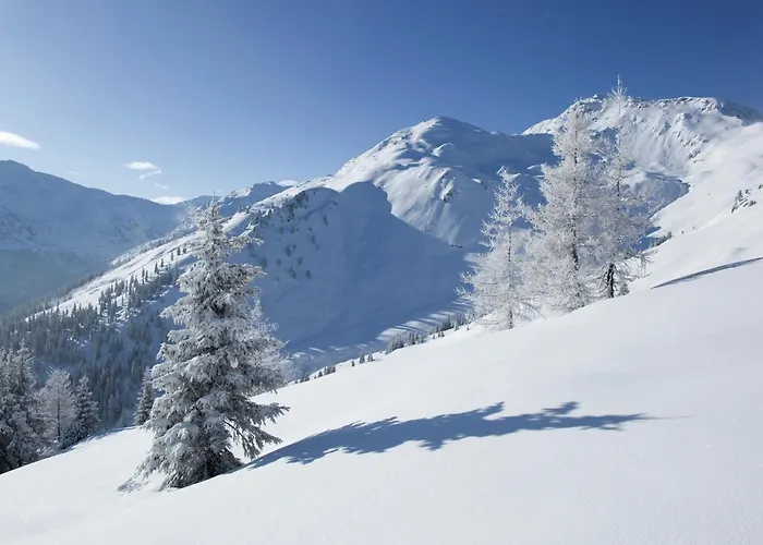 Appartement In Gerlosberg Near Lift