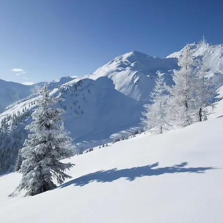 Appartamento In Gerlosberg Near Lift